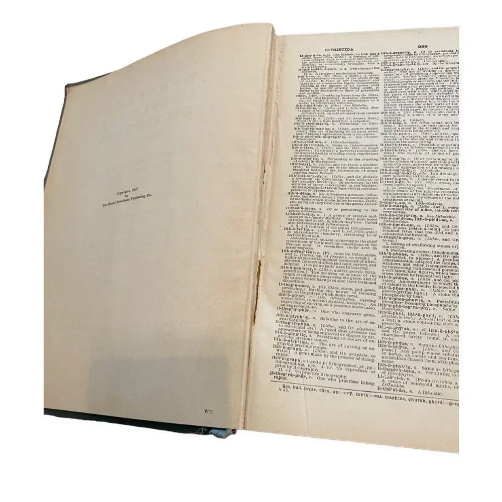 Websters Universal Unabridged Dictionary Vol 2 Hardcover Book 1937